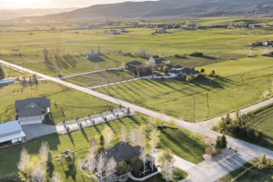 Screenshot 2025-07-01 at 10.41.28 AM